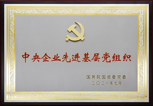 国珍松花粉-新时代健康产业（集团）有限公司成立于1995年3月，是中国新时代控股（集团）公司的控股子公司，总部设在北京，注册资本1亿元人民币。公司是直销行业内首批获得直销牌照的内资企业之一，也是行业内唯一一家央属企业。